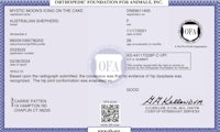a certificate issued by the australian foundation for animals, inc