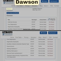 a screen shot of the dawson website