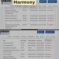 a screen shot of the wwtf website