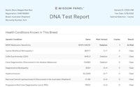 a dna report showing the results of a dna test