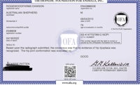 a certificate of approval from the opa