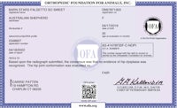 a certificate for the australian foundation for animals, llc