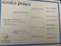 a certificate showing the name of a certified bender