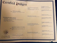 a certificate for the american club of pedagogy