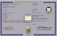 christopher foundation for animals, inc certificate